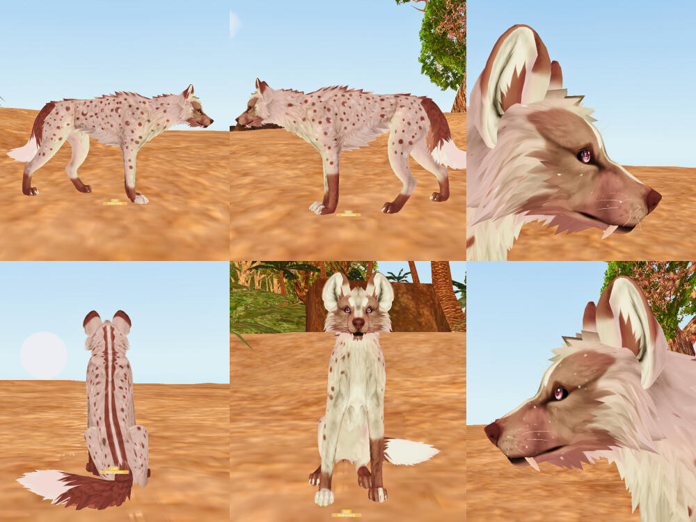 Zuri, design by me