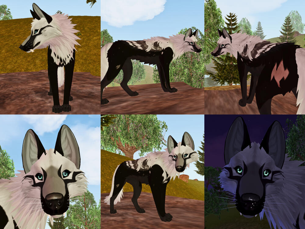 Commission for Security on Discord