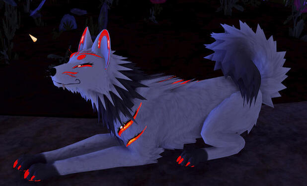 Kaiko at night