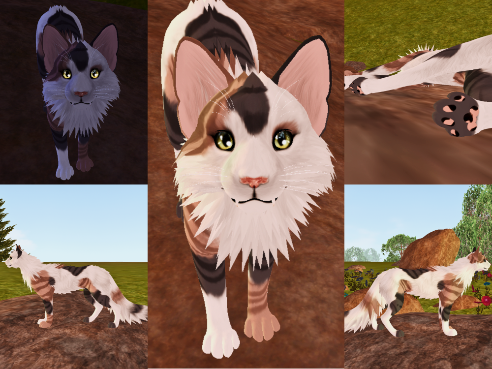 Commission for Astraea on Discord