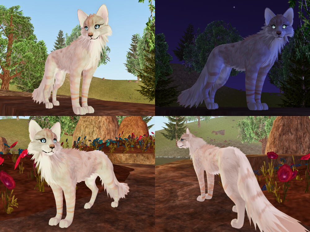 Commission for Oceanstar254 on Discord