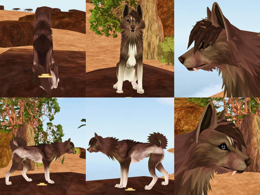 Tokka, design by me
